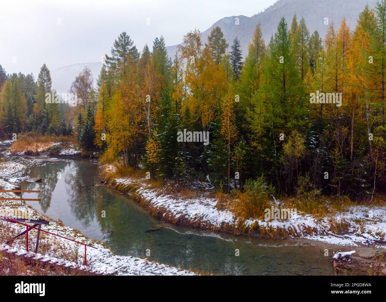 Treppen führen zu einem kleinen klaren Fluss in einer unzähligen Nacht mit Nebel im Schnee der herbstgelben Bäume im Altai-Gebirge in Russland. Stockfoto