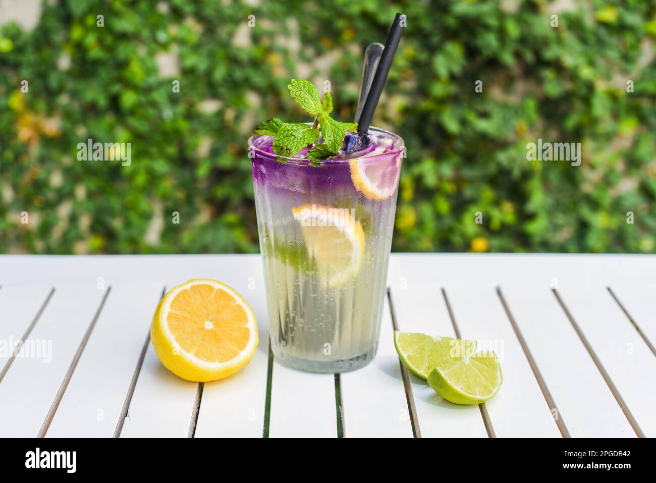 Klassische Limonade mit Minze auf weißem Holztisch vor grünen Blättern mit Kopierbereich Stockfoto