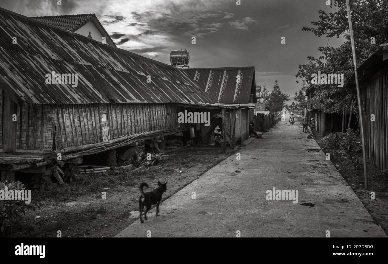 Eine Straße vorbei an einem traditionellen langen Haus auf Pfählen, das in das Mnong ethnische Minderheitendorf Buon Jun, Lien Son, Vietnam führt. Stockfoto