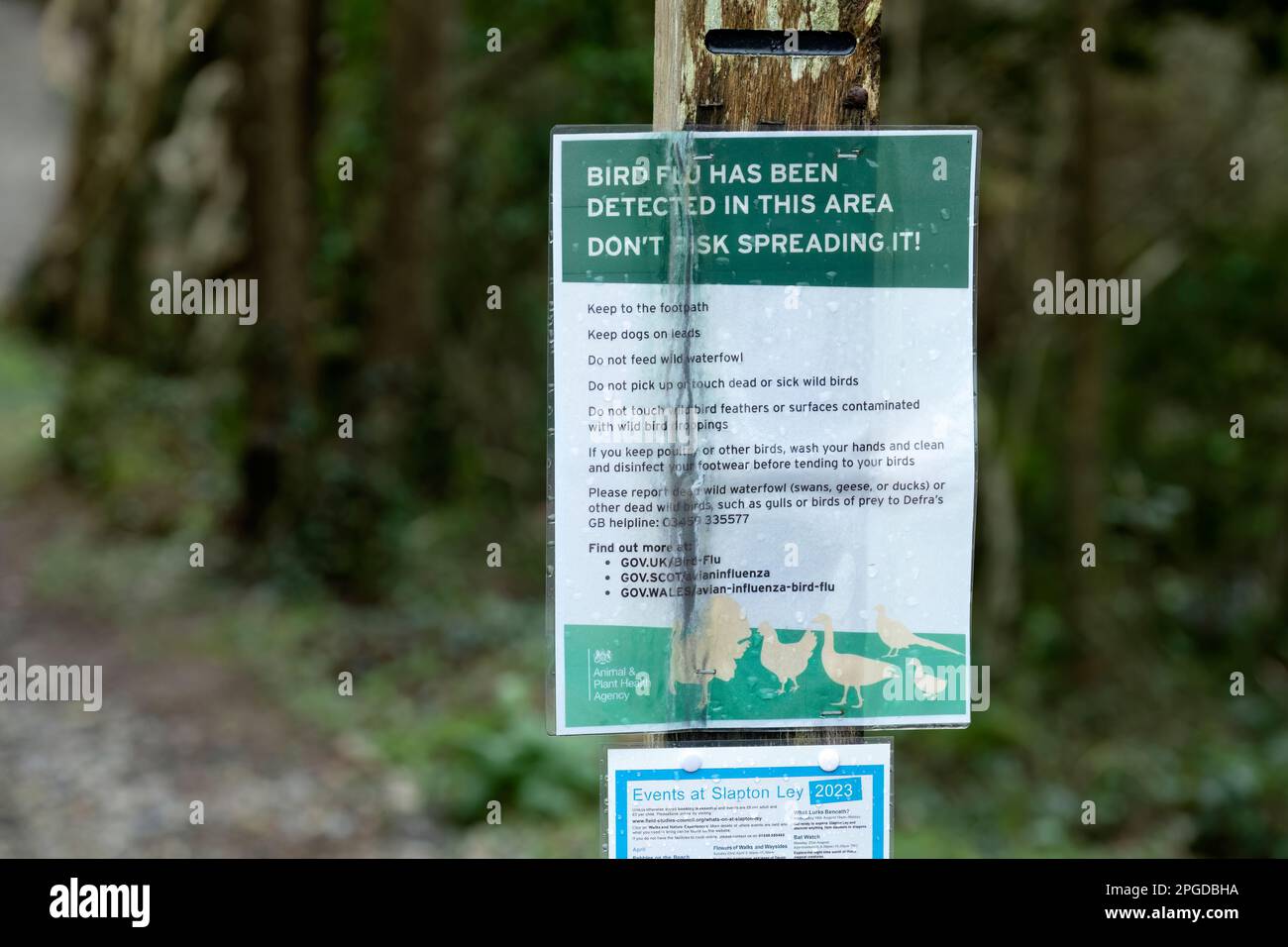 Eine öffentliche Bekanntmachung, in der darauf hingewiesen wird, dass Vogelgrippe und Vogelgrippe in einem Gebiet in einem AIPZ-Gebiet mit obligatorischer Unterbringungsordnung festgestellt wurden Stockfoto