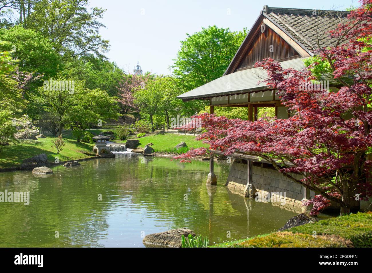 Fotos aus dem japanischen Garten in Belgien, aufgenommen im Frühling an einem sonnigen Tag. Die Blumen blühen. Stockfoto