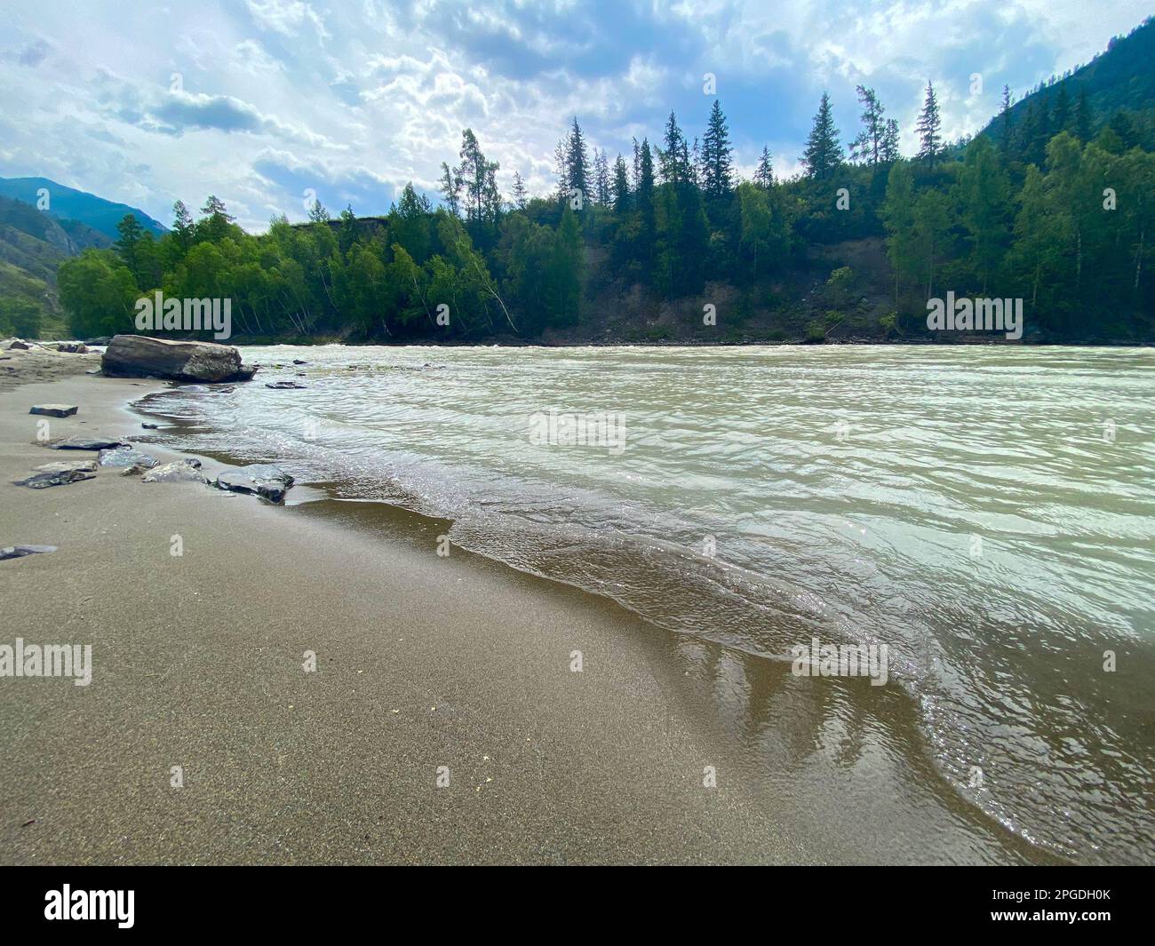 Die sandige Küste wird im Sommer von den Wellen des Flusses Chuya in den Bergen mit Tannen in Altai in Sibirien gespült. Stockfoto