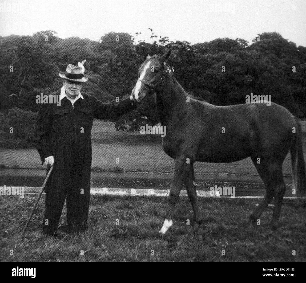 Winston Churchill mit dem jungen Rennpferd. 1950 Stockfoto