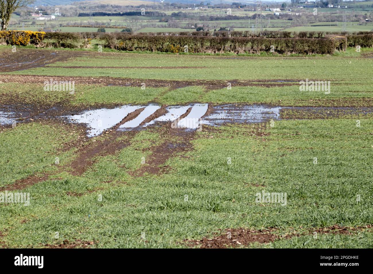 Nach anhaltendem starkem Regen in Newtownabbey, Nordirland, Vereinigtes Königreich, bewässerte Felder Stockfoto