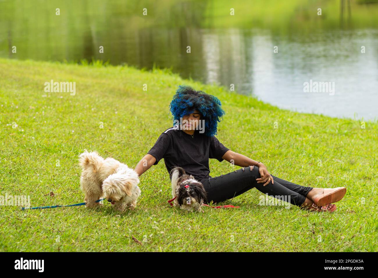 Goiania, Goias, Brasilien – 20. März 2023: Eine junge schwarze Frau mit gelocktem, blau gefärbtem Haar, die auf dem Gras in einem Park sitzt und mit ihren Hunden spielt. Stockfoto