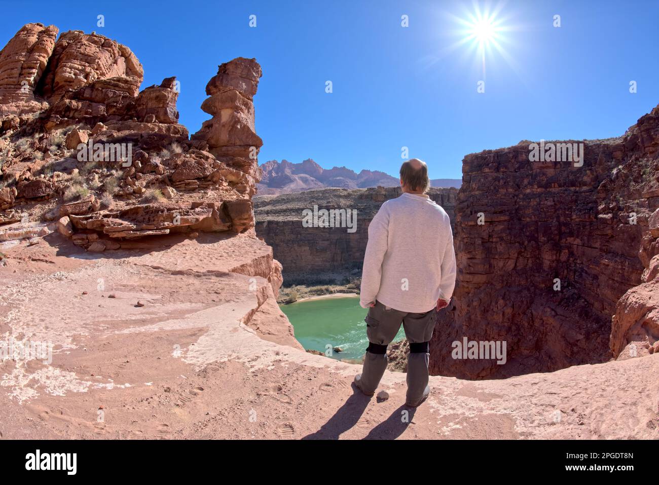 Rückansicht eines Wanderer mit Blick auf East Johnson Creek, Colorado River, Marble Canyon, Arizona, USA Stockfoto