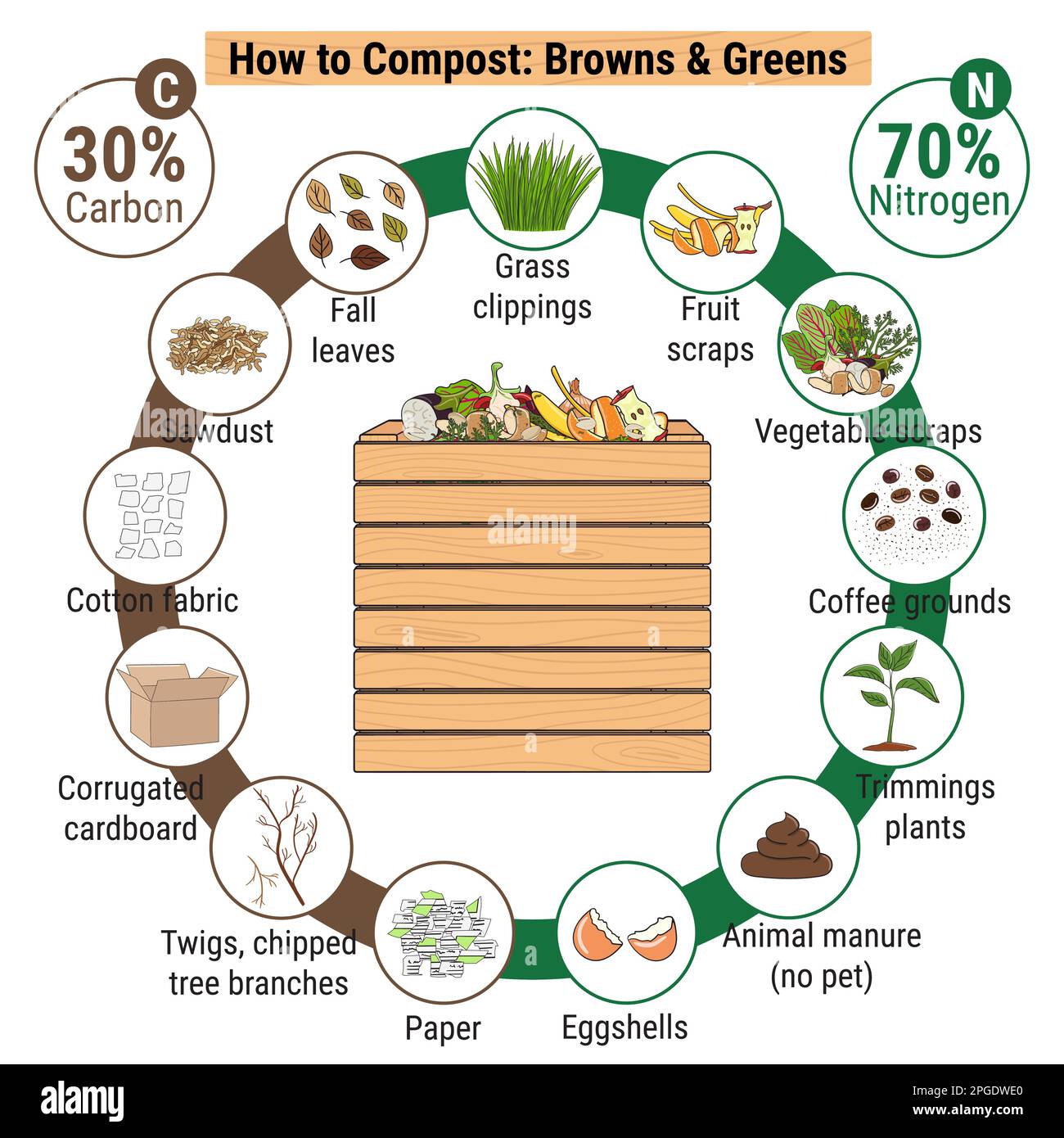 Infografik zum Kompostiereimer mit Resten im Garten. Was kompostiert werden soll. Verhältnis Grün und Muskeln für die Kompostierung. Recycling organischer Abfälle. Nachhaltiges Leben c Stock Vektor