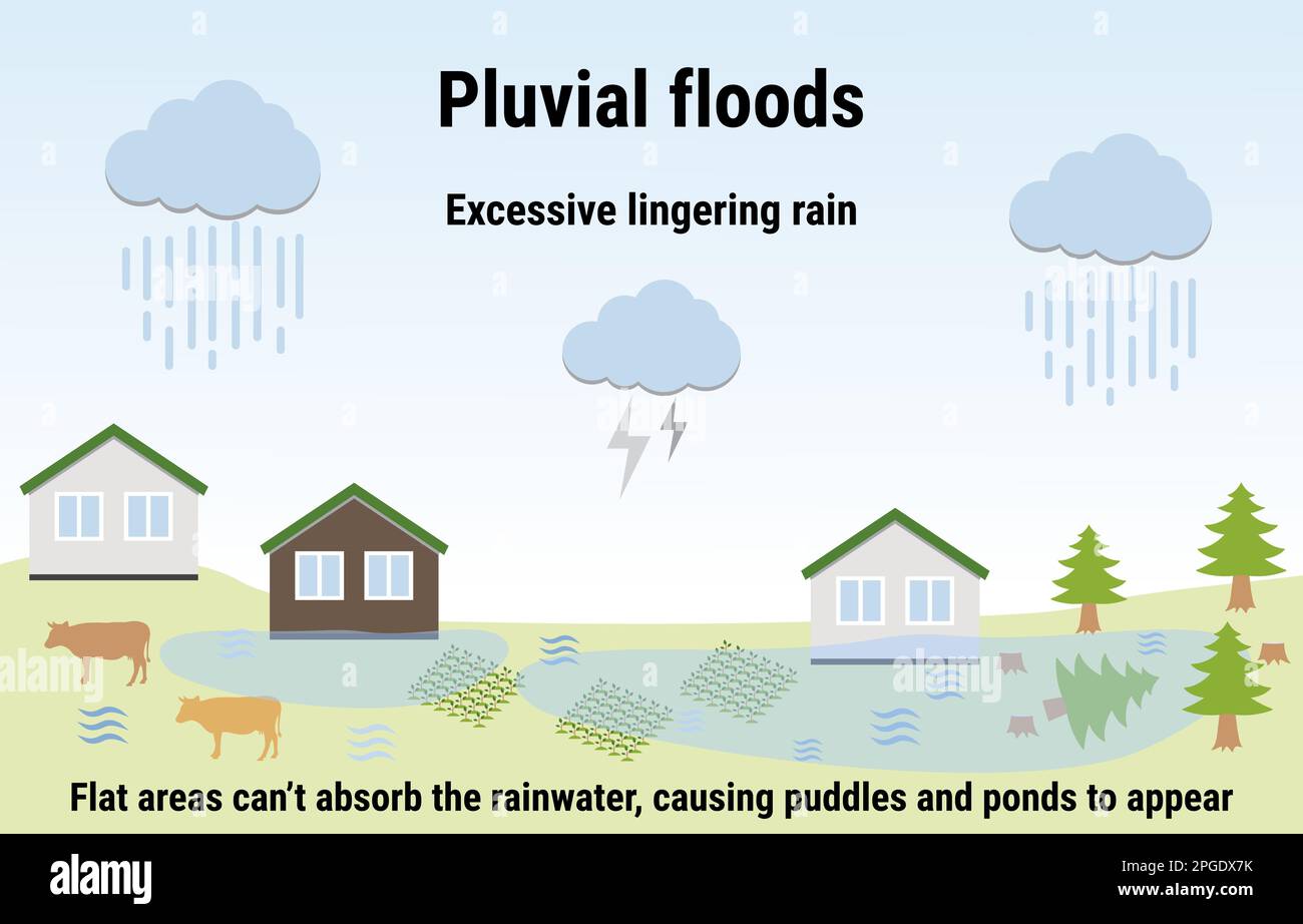 - Gewürzüberschwemmungen. Infografik zu Überschwemmungen. Überschwemmung Naturkatastrophe mit Regen, Wettergefahr. Häuser, Bäume, Garten mit Wasser bedeckt. Globale Erwärmung Stock Vektor