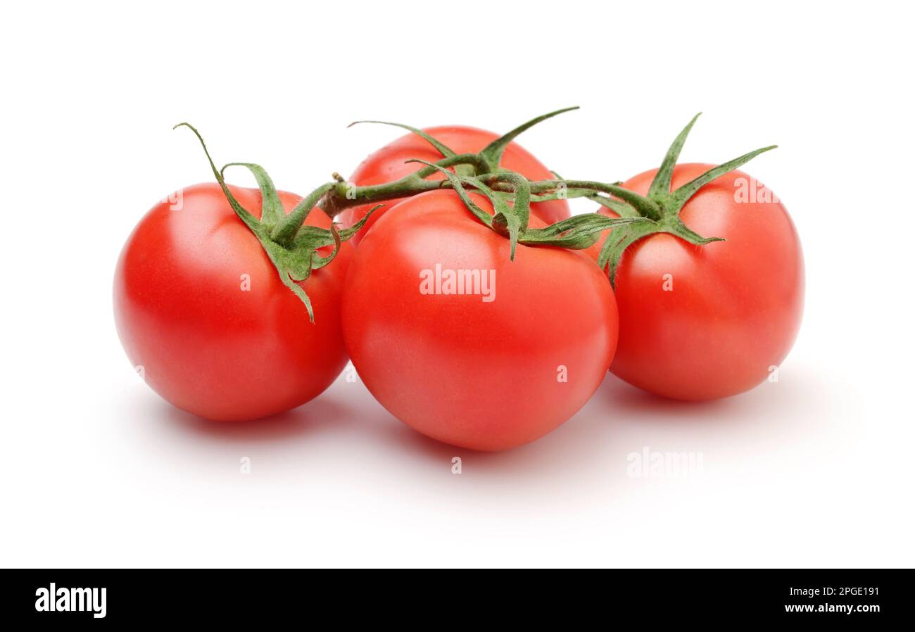 Gruppe reifer Tomaten mit auf weiß isolierten Blättern. Stockfoto