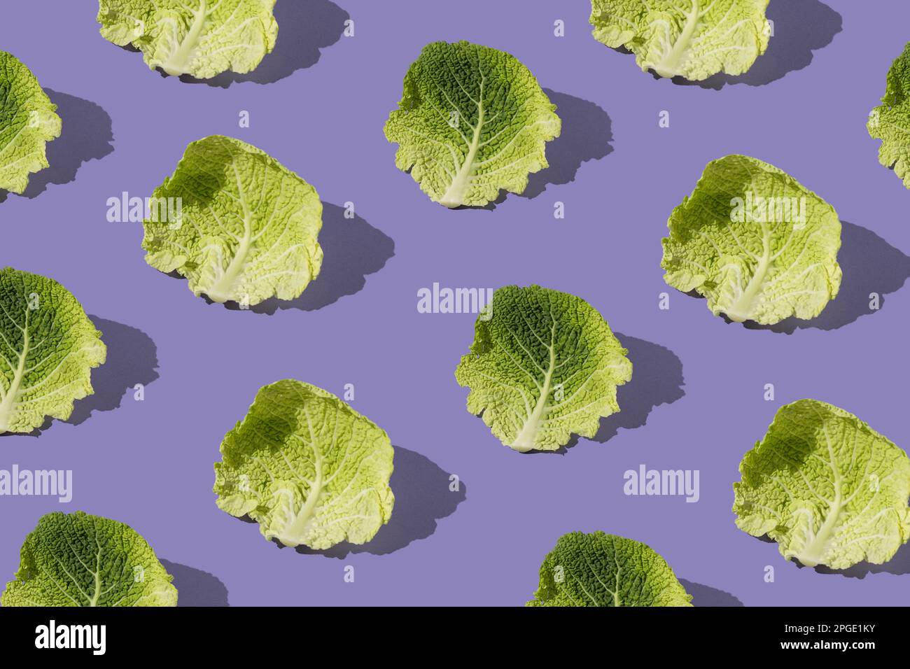 Muster mit frischen Grünkohl-Blättern vor violettem Hintergrund. Minimalkonzept für Nahrungsmittel und Gemüse. Stockfoto