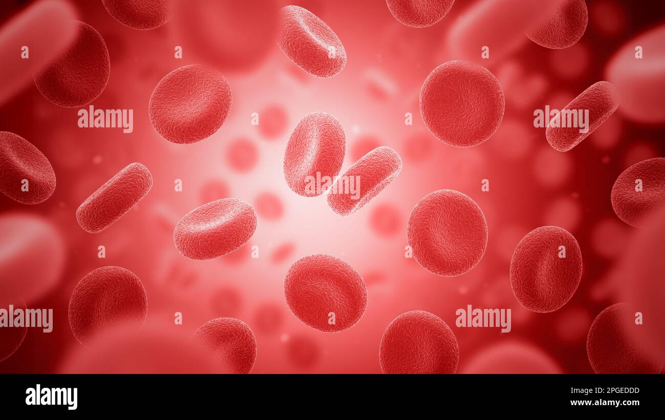 Rote Blutkörperchen. Erythrozyten. 3D Abbildung. Stockfoto