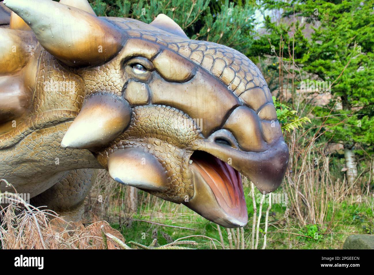 animatronisches Modell Saichaniens auf der Dinosaurierausstellung im Edinburgh Zoo Stockfoto