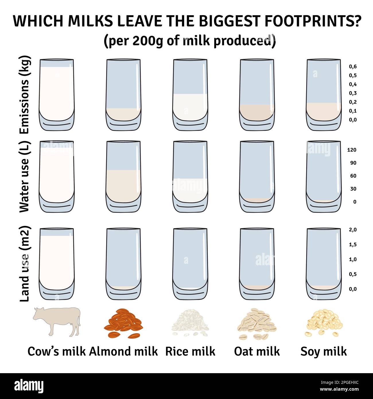 Die Auswirkungen der Milcharten auf die Umwelt. Infografik Milch. Milchprodukte, Mandeln, Soja, Reis, Hafermilch. Wasserverbrauch, Treibhausgasemissionen. Fußabdrücke von der Mill Stock Vektor