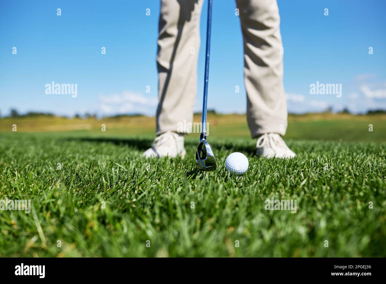 Unterer Teil eines unbekannten Mannes, der Golf auf grünem Gras spielt, konzentriert sich auf den Ball, Kopierraum Stockfoto