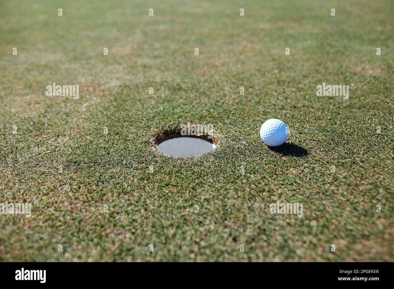 Nahaufnahme des Hintergrundbildes des Golfballs neben dem Loch auf grünem Gras, Kopierbereich Stockfoto
