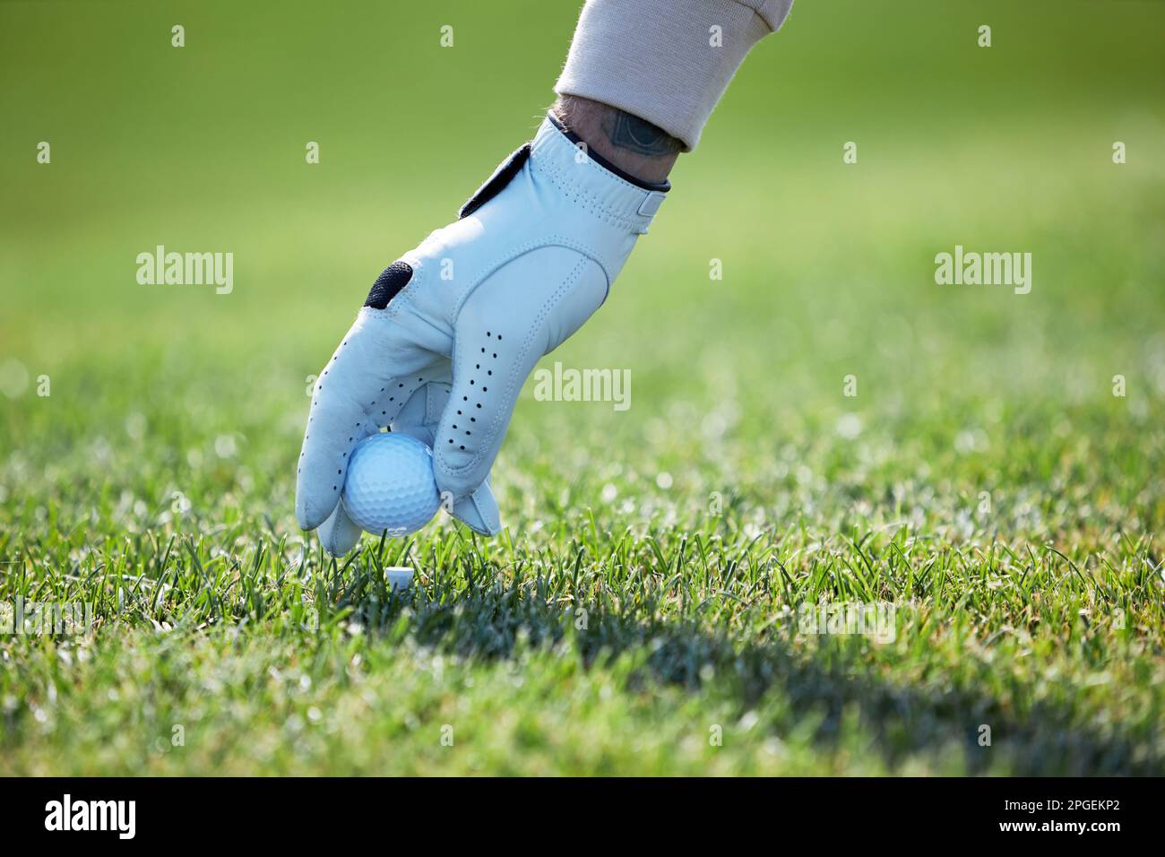 Nahaufnahme von männlicher Hand mit Handschuhen, die Golfball auf grünem Gras aufhebt, Kopierraum Stockfoto