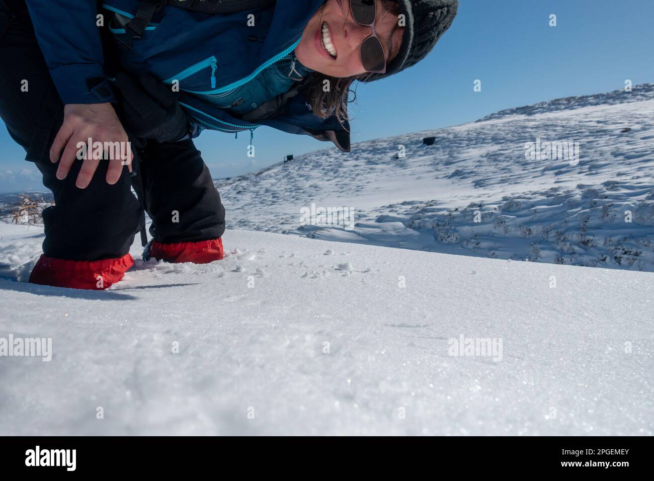 Weibliche Geherin, die kniehoch im Schnee lächelt und ein Selfie mit einer verschneiten Moorlandschaft dahinter macht. Wharfedale, West Yorkshire, England, Großbritannien Stockfoto
