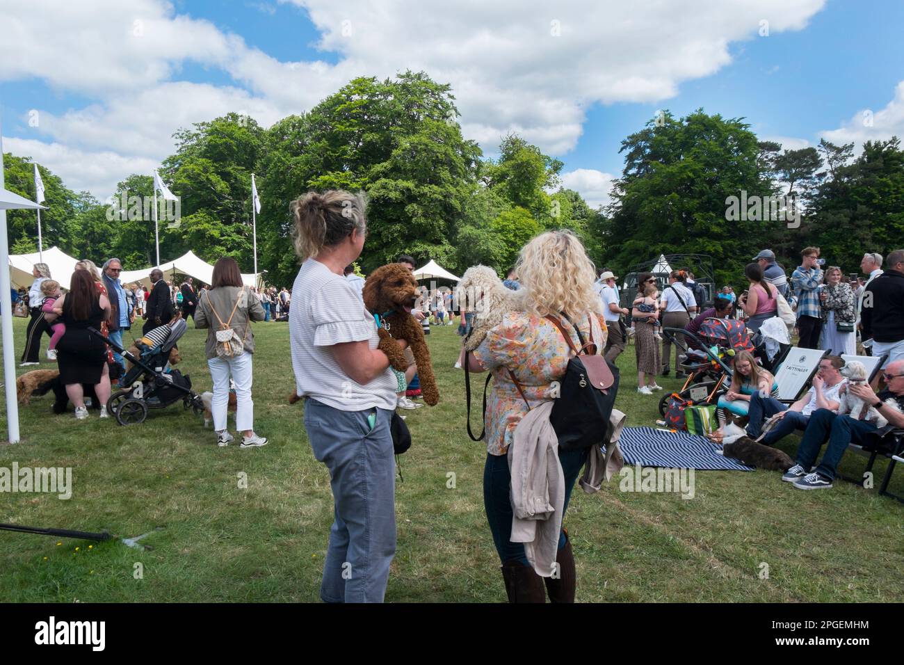 Zwei Frauen halten ihre Cockapoo-Hunde vor dem Showring in Goodwoof, dem ultimativen Hundetag im The Kennels, Goodwood, West Sussex, Großbritannien Stockfoto