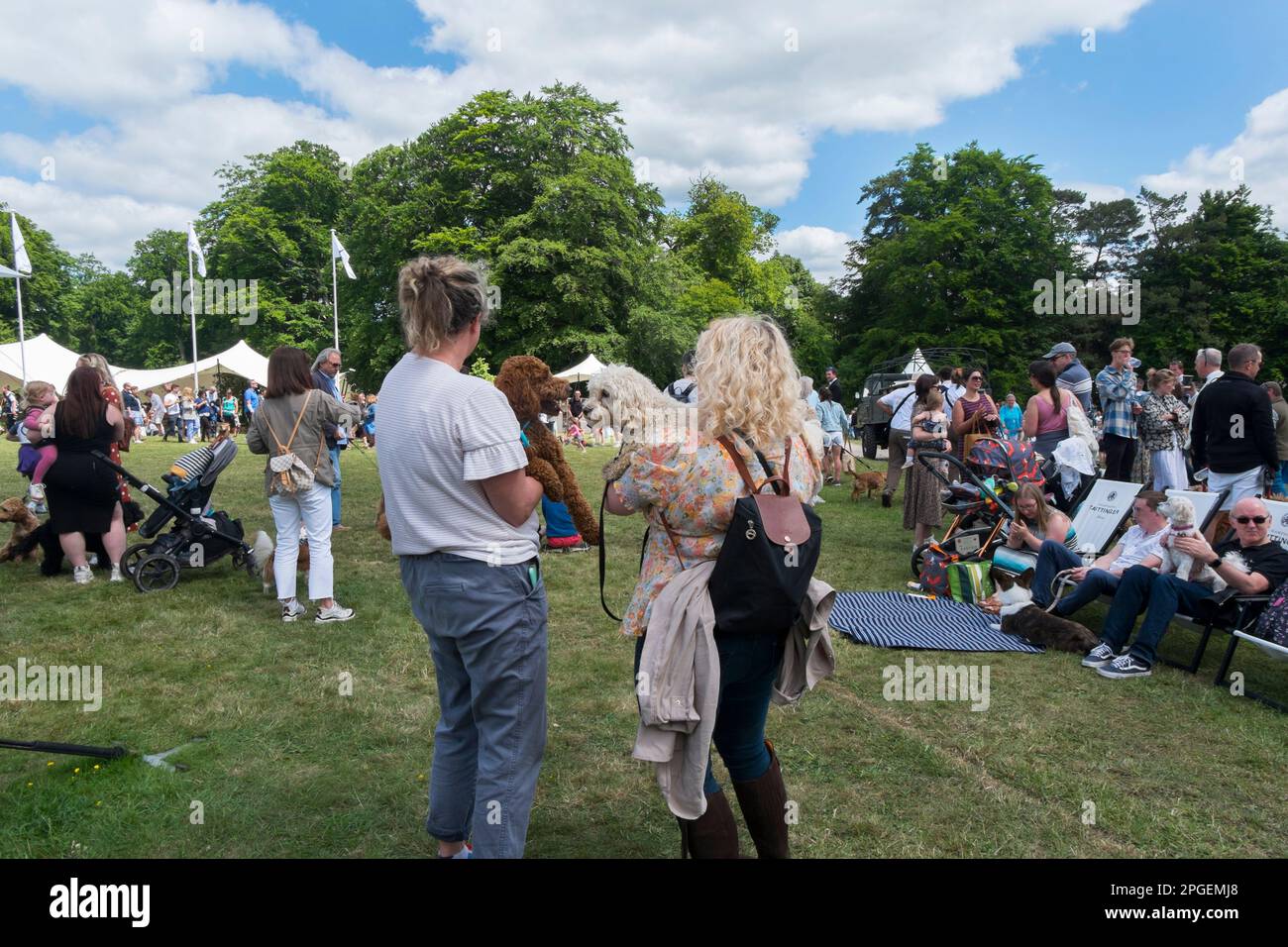 Zwei Frauen halten ihre Cockapoo-Hunde vor dem Showring in Goodwoof, dem ultimativen Hundetag im The Kennels, Goodwood, West Sussex, Großbritannien Stockfoto