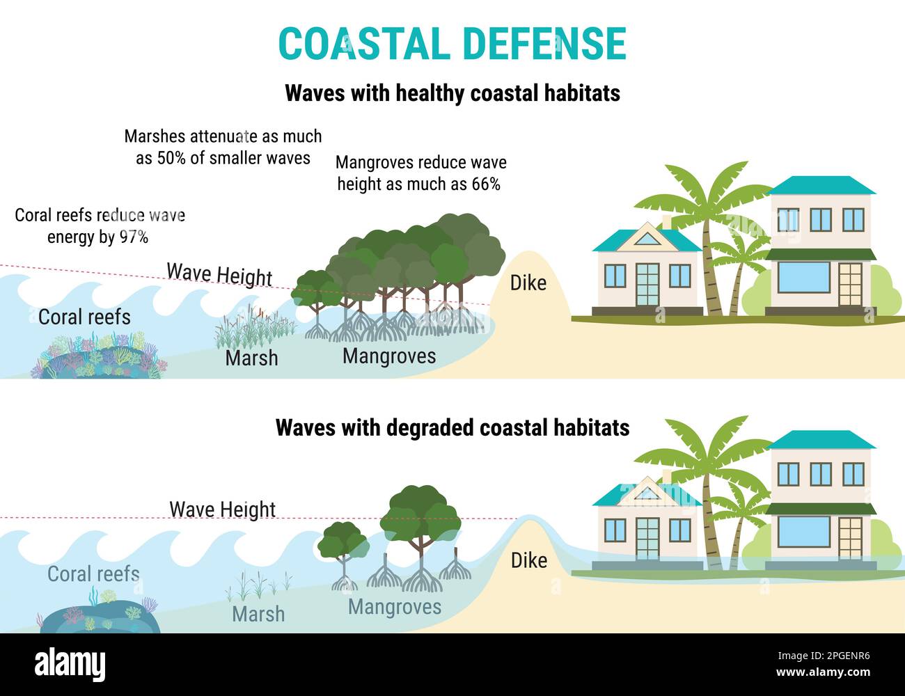 Infografik zum Anstieg des Meeresspiegels. Küstenabwehr bis zum Anstieg des Meeresspiegels - Mangroven, Sümpfe, Korallenriffe, Deiche. Hochwasserschutz. Globale Erwärmung und Klima Stock Vektor