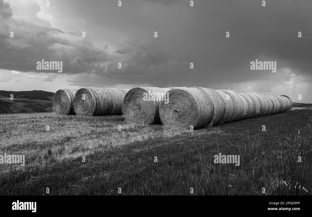 Landwirtschaftliche Landschaft mit Heuballen auf einem Feld in der Frühlingssaison. Toskana-Region - Mittelitalien - Europa. Stockfoto