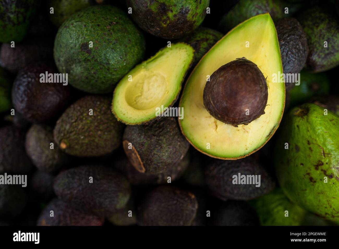 Frische und reife Avocados, die auf lokalen Bauernhöfen angebaut werden, werden auf dem Straßenmarkt in Armenien, Kolumbien, zum Verkauf angeboten. Stockfoto