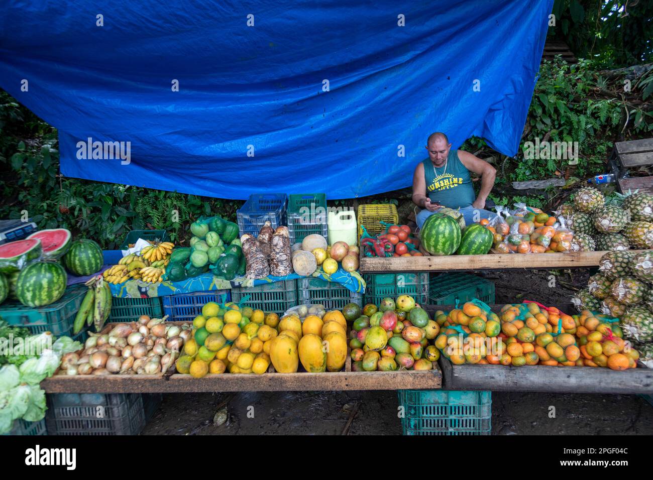 La Pavona, Costa Rica - Ein Mann verkauft lokal angebautes Obst. Stockfoto