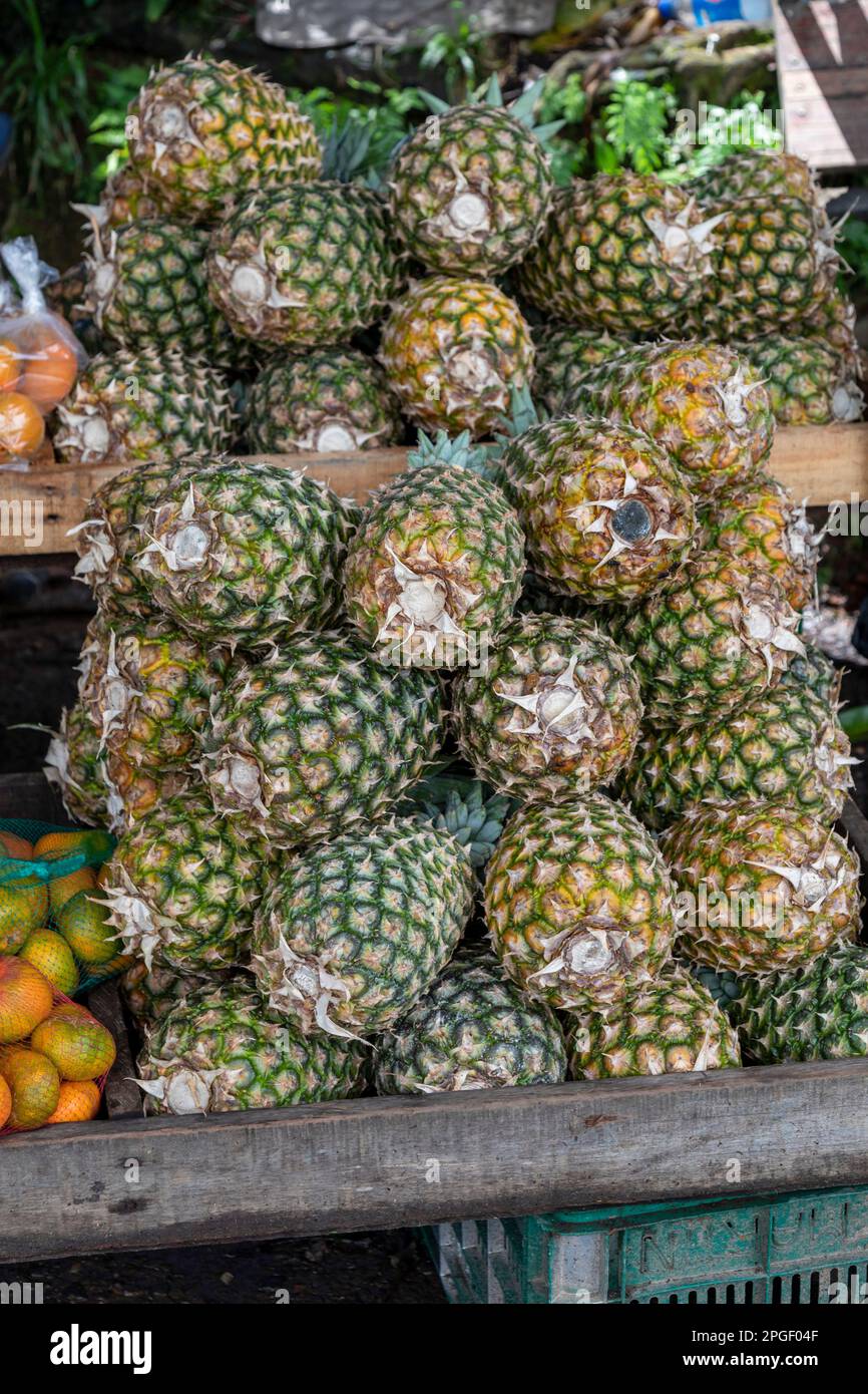 La Pavona, Costa Rica: An einem Obststand werden Ananas aus der Region angeboten. Stockfoto