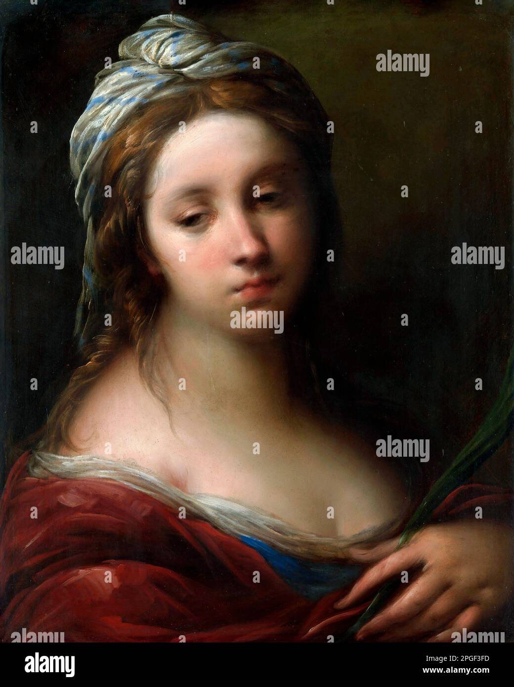 A Female Martyr Saint des italienischen Künstlers Carlo Francesco Nuvolone (1608/609-1661/1662), Öl auf Holz, c. 1650 Stockfoto