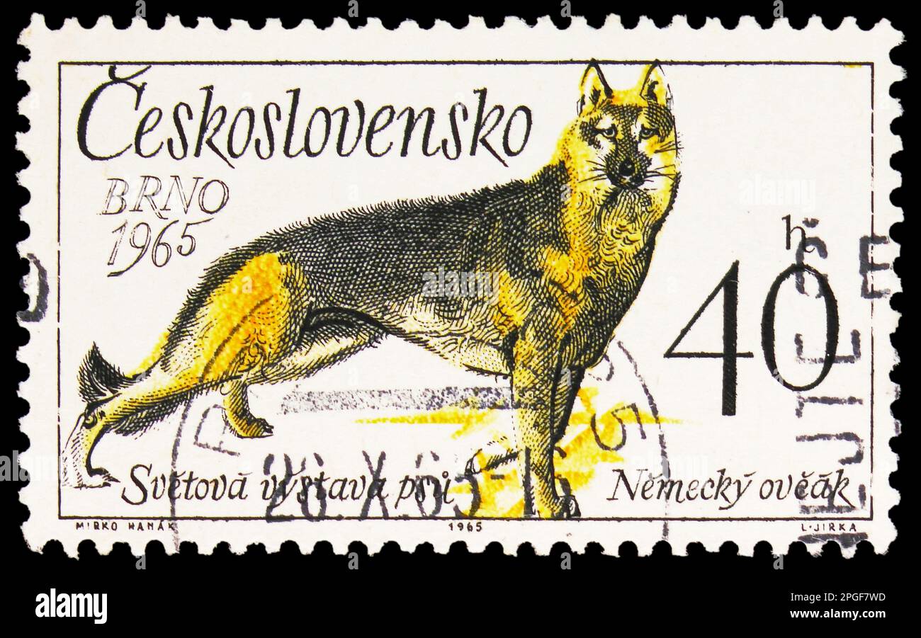 MOSKAU, RUSSLAND - 16. MÄRZ 2023: In der Tschechoslowakei gedruckte Briefmarken zeigen den Deutschen Hirten (Canis lupus familiaris), die World Dog Show in Brünn und Th Stockfoto