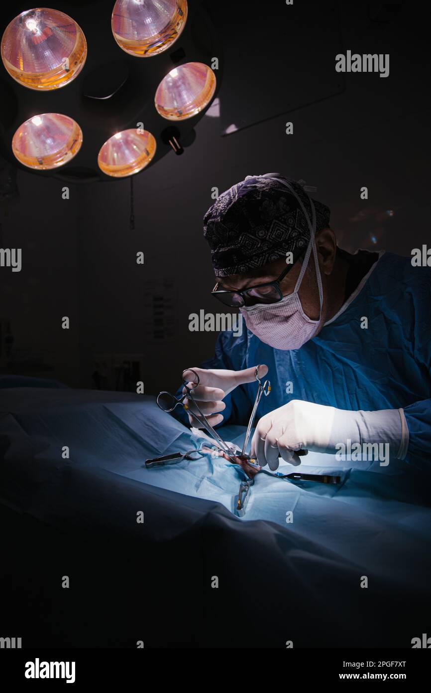 Chirurg mittleren Alters im Operationssaal Stockfoto