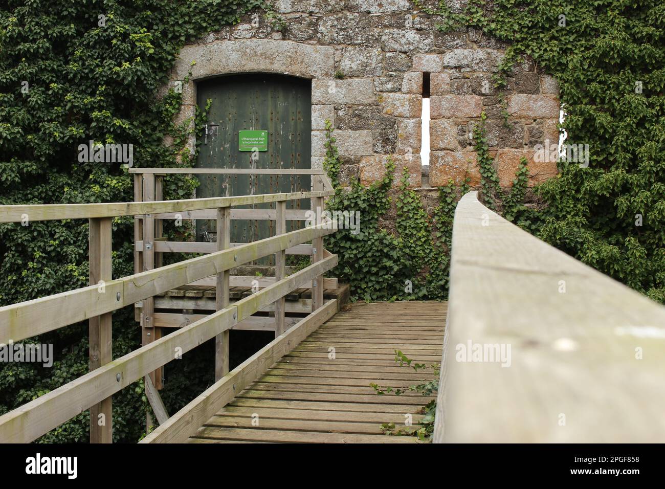 Holzsteg zur efeubedeckten Steinmauer (L'Etacquerel Fort, Bouley Bay, Jersey) Stockfoto