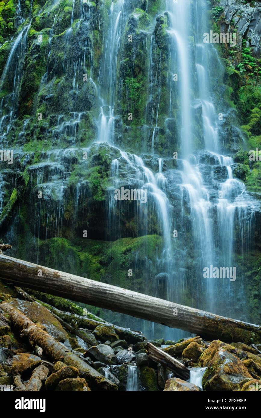 Die Schönheit der Proxy Falls in Oregon Stockfoto