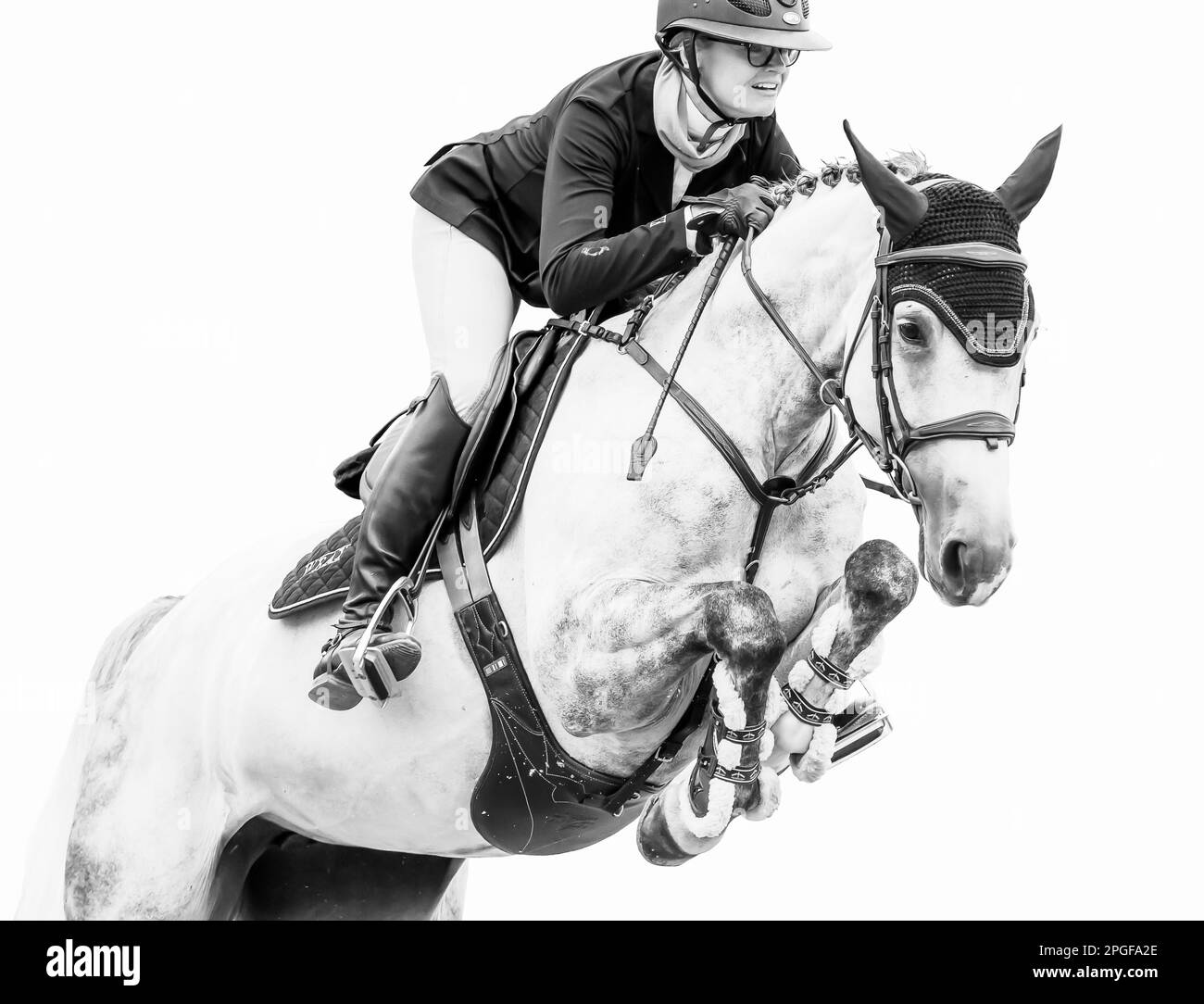 Fahrer konkurrieren mit ihren Halterungen. Das Bild wurde bearbeitet, um den Hintergrund zu entfernen und in Schwarzweiß zu konvertieren. Stockfoto
