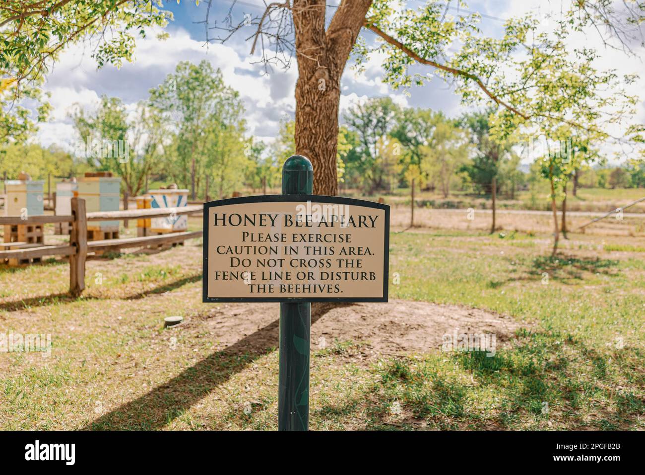 Bee Apiary-Schild an sonnigen Tagen Stockfoto