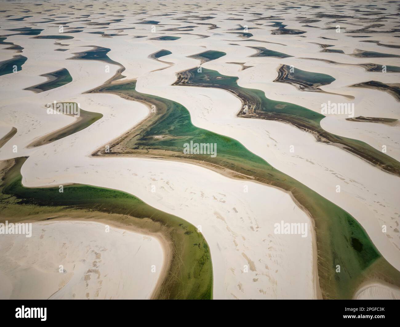 Wunderschöner Blick aus der Vogelperspektive auf die weißen Sanddünen und die grünen Regenwasserpools Stockfoto