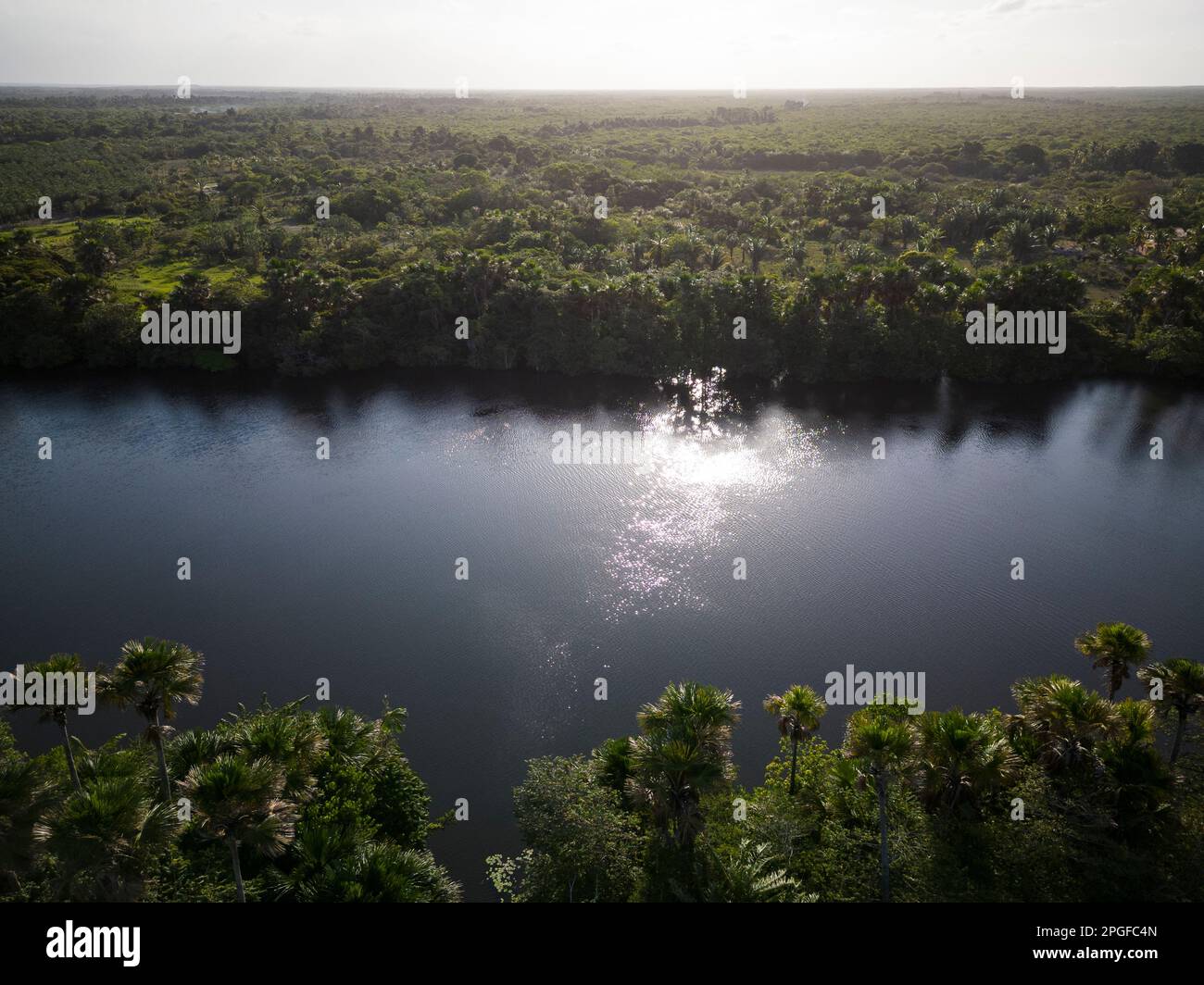 Wunderschöner Blick aus der Vogelperspektive auf den großen Fluss Preguices mit grüner Vegetation Stockfoto