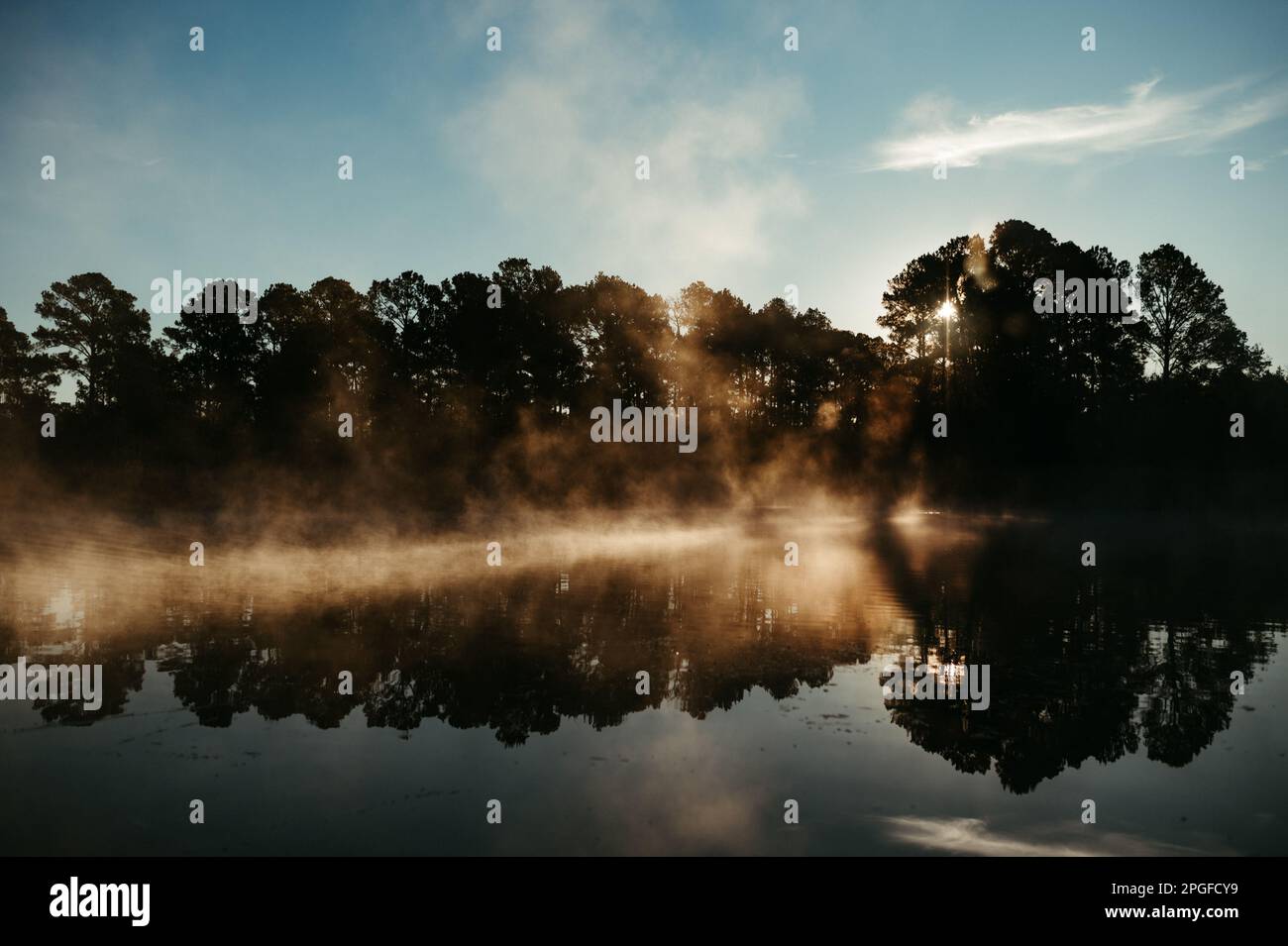 Nebeliger Sonnenaufgang im Lake Bastrop South Shore Park Stockfoto