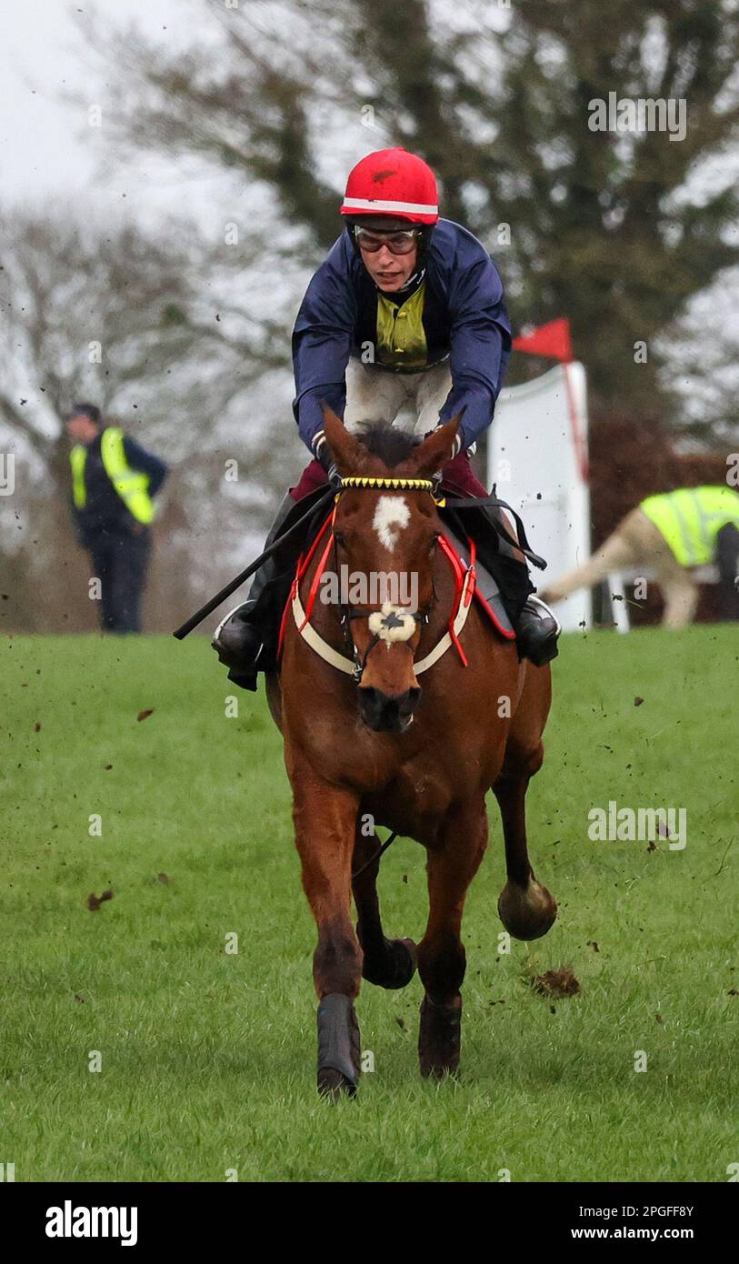 2023 Down Royal Racecourse Lisburn Nordirland. 17. März 2023. Bluegrass Stamm 30 Chase. Rennpferd Longhouse Dichter (4), geritten von Jockey J J Slevin und ausgebildet von Martin Brassil. Stockfoto