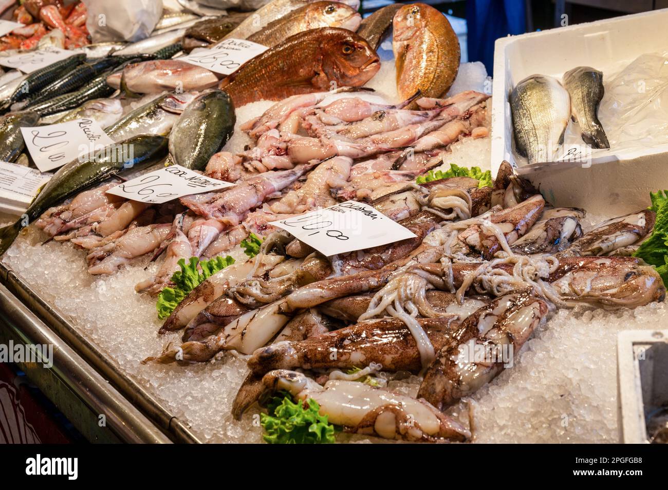 Tintenfisch und anderer frischer Fisch auf einem Fischmarkt in Venedig, Italien. Stockfoto