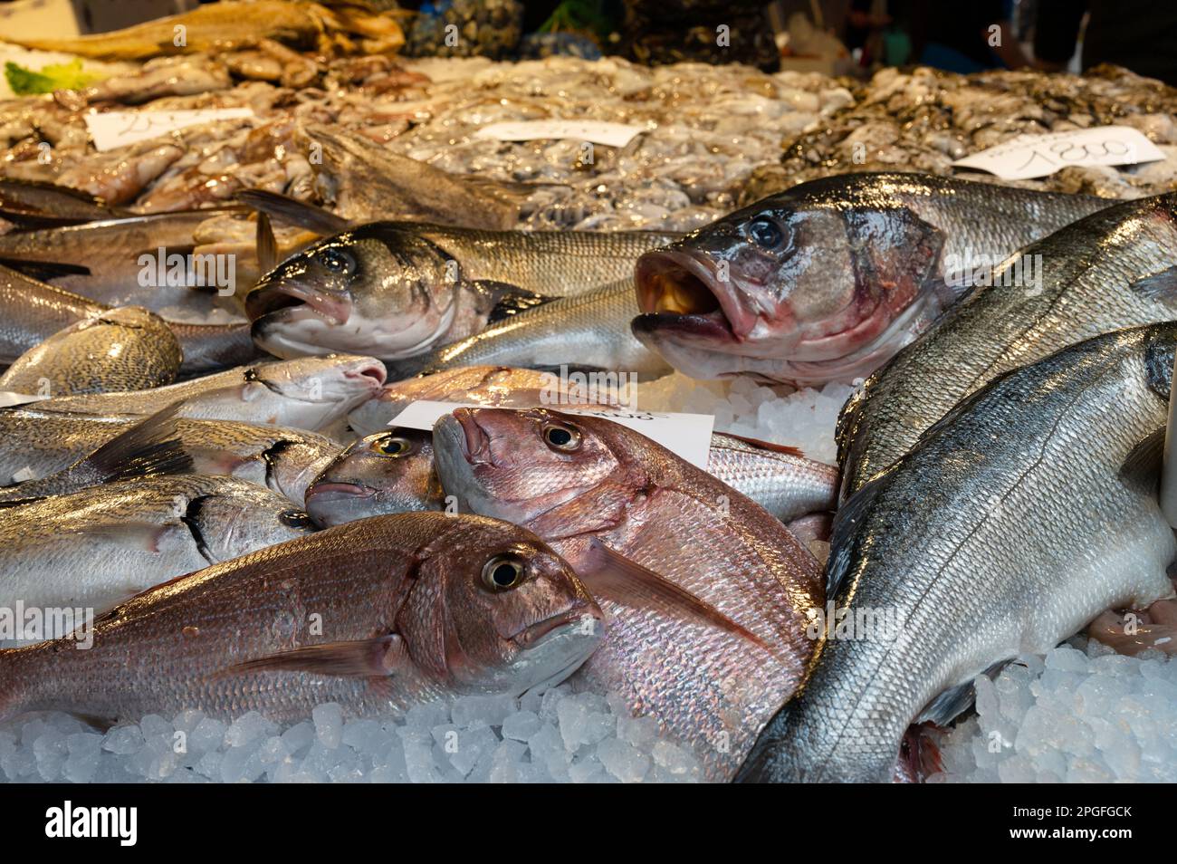 Frischer Fisch auf Eis auf einem Fischmarkt in Venedig, Italien. Stockfoto