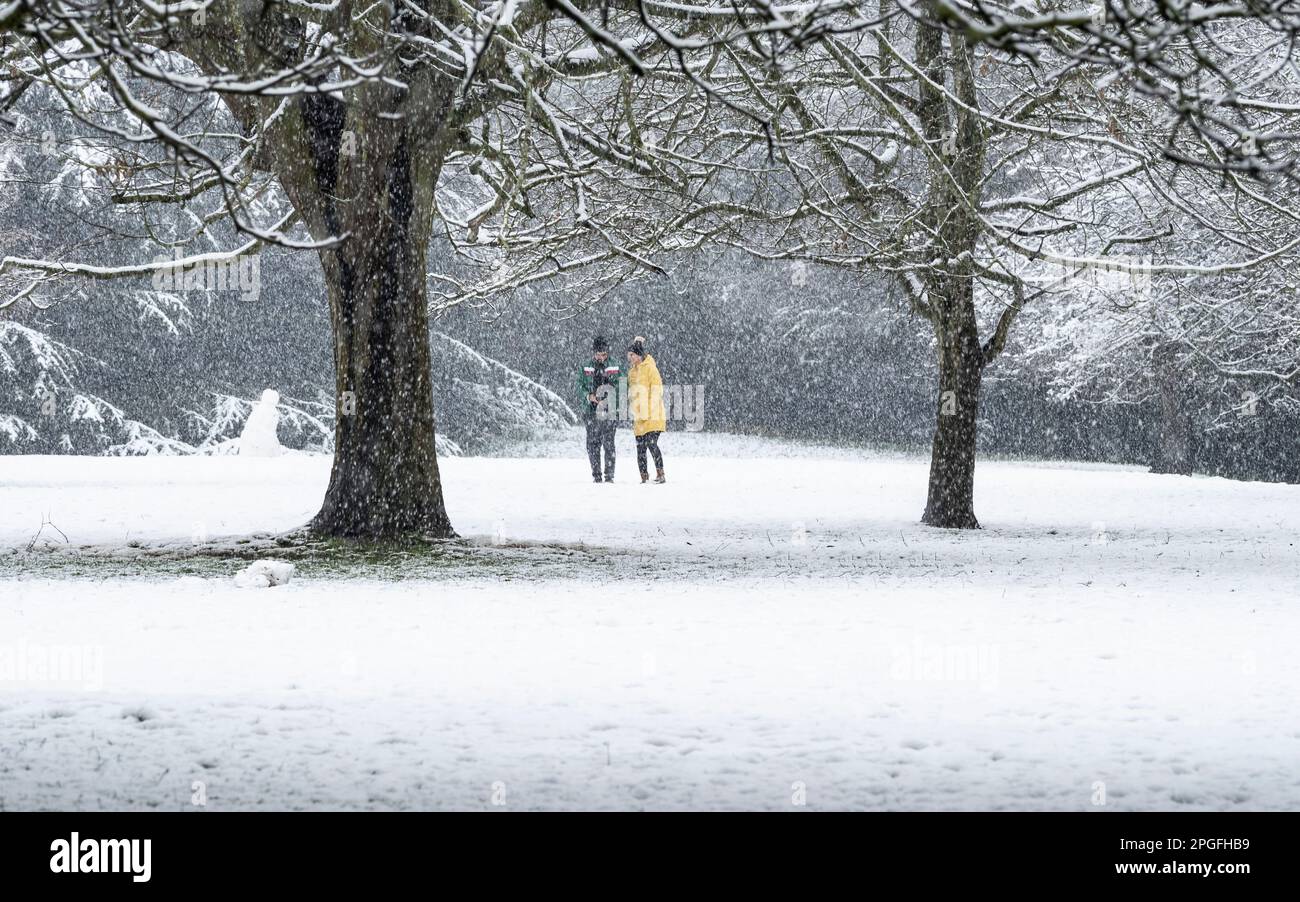 Ein Paar, das im Winter in einem Schneesturm im Park spaziert. Stockfoto