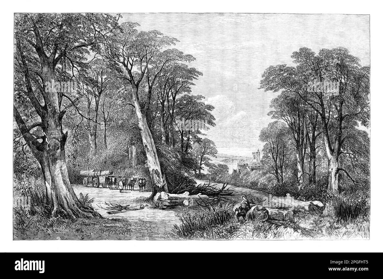 "The Woods in Autumn" von Henry Jutsum, ca. 1863, in dem eine Frau und ihr Hund einem woodman zusehen, wie er Holz auf einem Anhänger transportiert, der von Ochsen aus englischem Wald gezogen wurde. Stockfoto