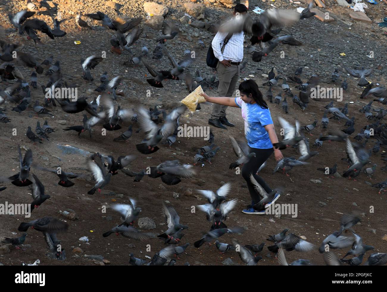 Mumbai, Indien. 21. März 2023. Eine junge Dame füttert Tauben am Strand von Girgaon Chowpatty in Mumbai. Taubenkot verursacht Atemwegserkrankungen wie überempfindliche Lungenentzündung in der Lunge. Die Menschen werden davor gewarnt, Tauben zu füttern, da ihre Bakterien und Schimmelpilze Entzündungen in der Lunge verursachen und sie dadurch zerstören. (Foto: Ashish Vaishnav/SOPA Images/Sipa USA) Guthaben: SIPA USA/Alamy Live News Stockfoto