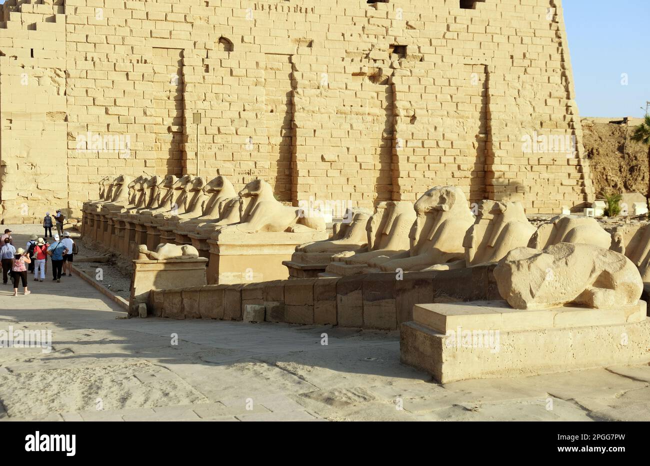 RAM führte die Sphinx im Tempel von Karnak in Luxor an Stockfoto