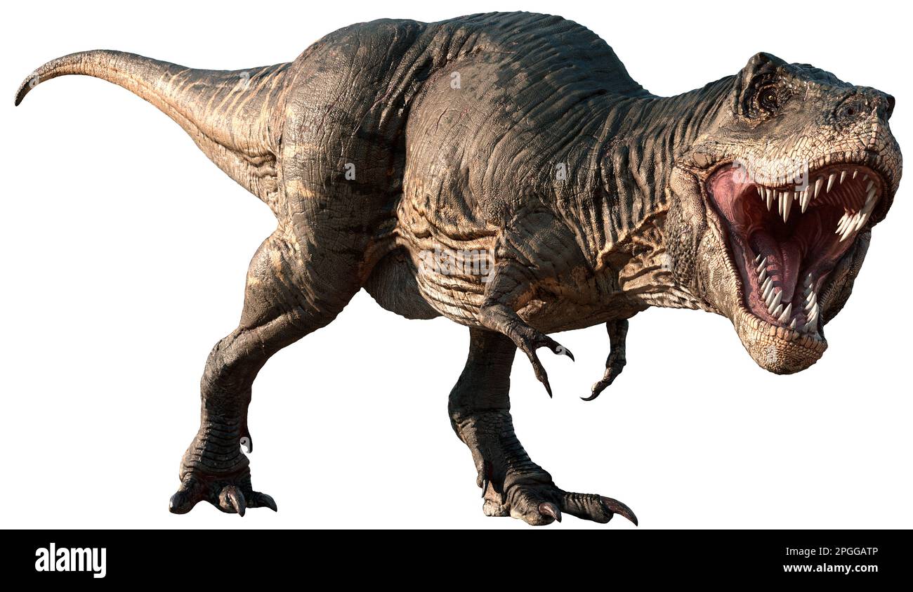 Tyrannosaurus aus der Kreidezeit 3D-Illustration Stockfoto
