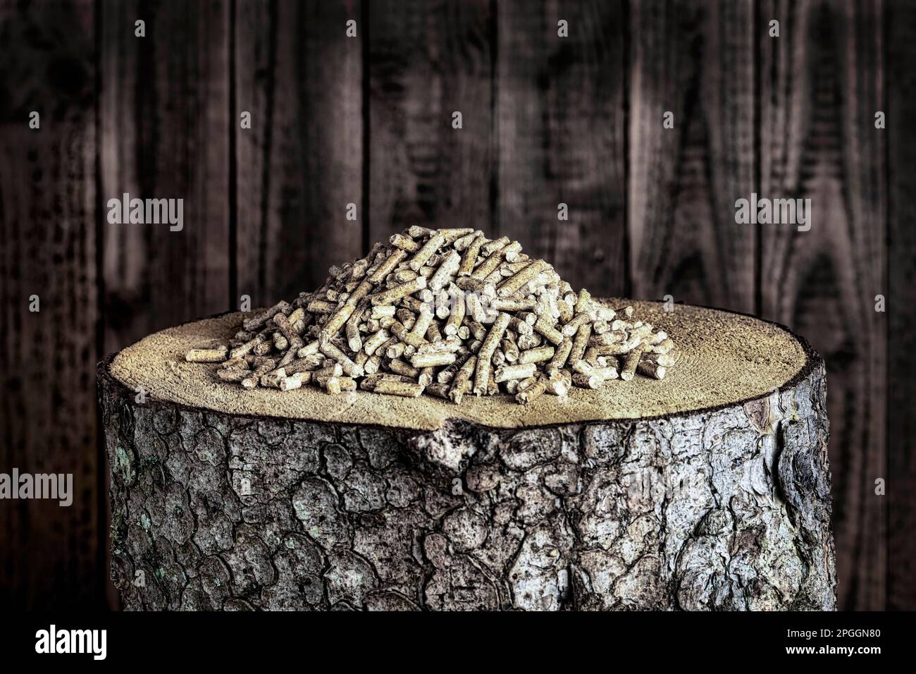 Holzpellets auf Holzstumpf vor der Holzwand, Studiofoto, Deutschland Stockfoto