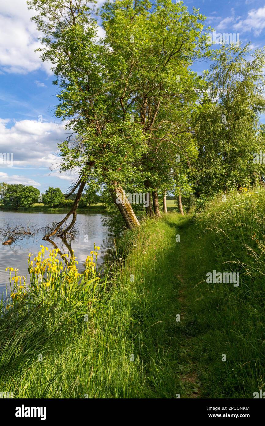 Neudorf im Kunstteich Harz Stockfoto