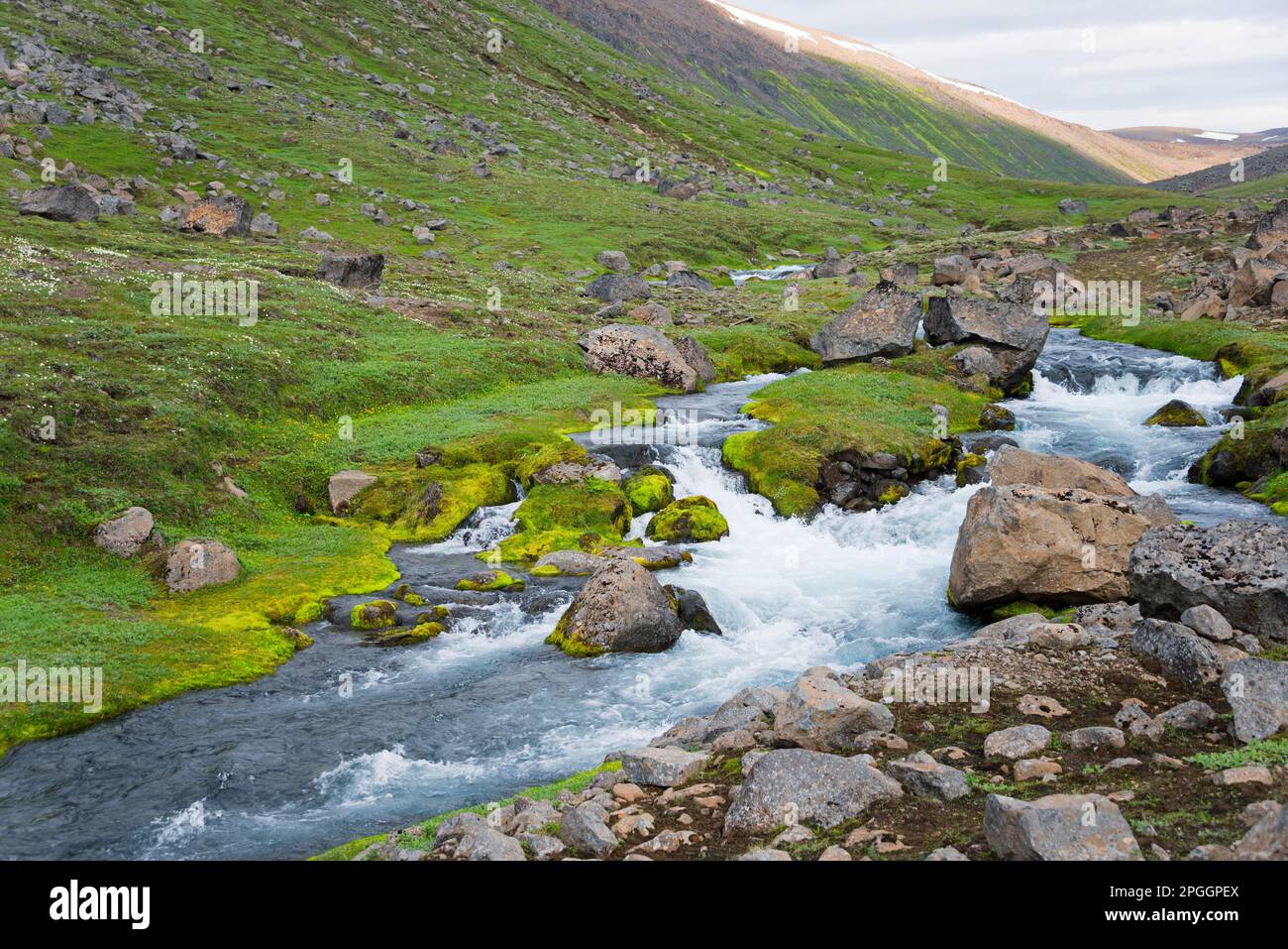 Eyjafjardara River, F821, Highlands, Island Stockfoto