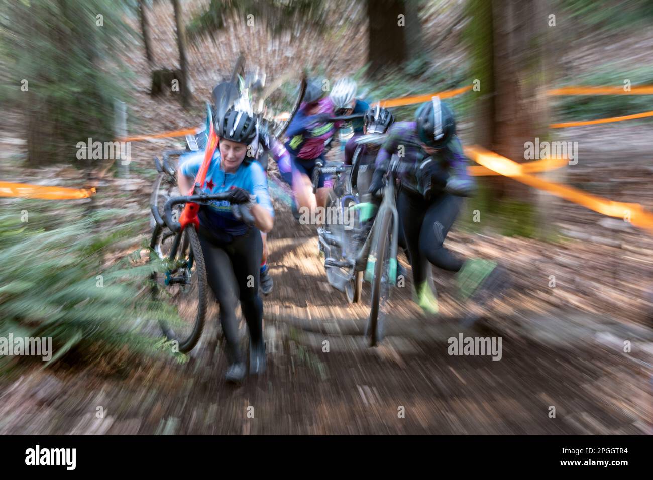 WA24111-00 Washington - Frau, die in einem Cyclocross-Rennen im Westen Washingtons mitmacht. Stockfoto